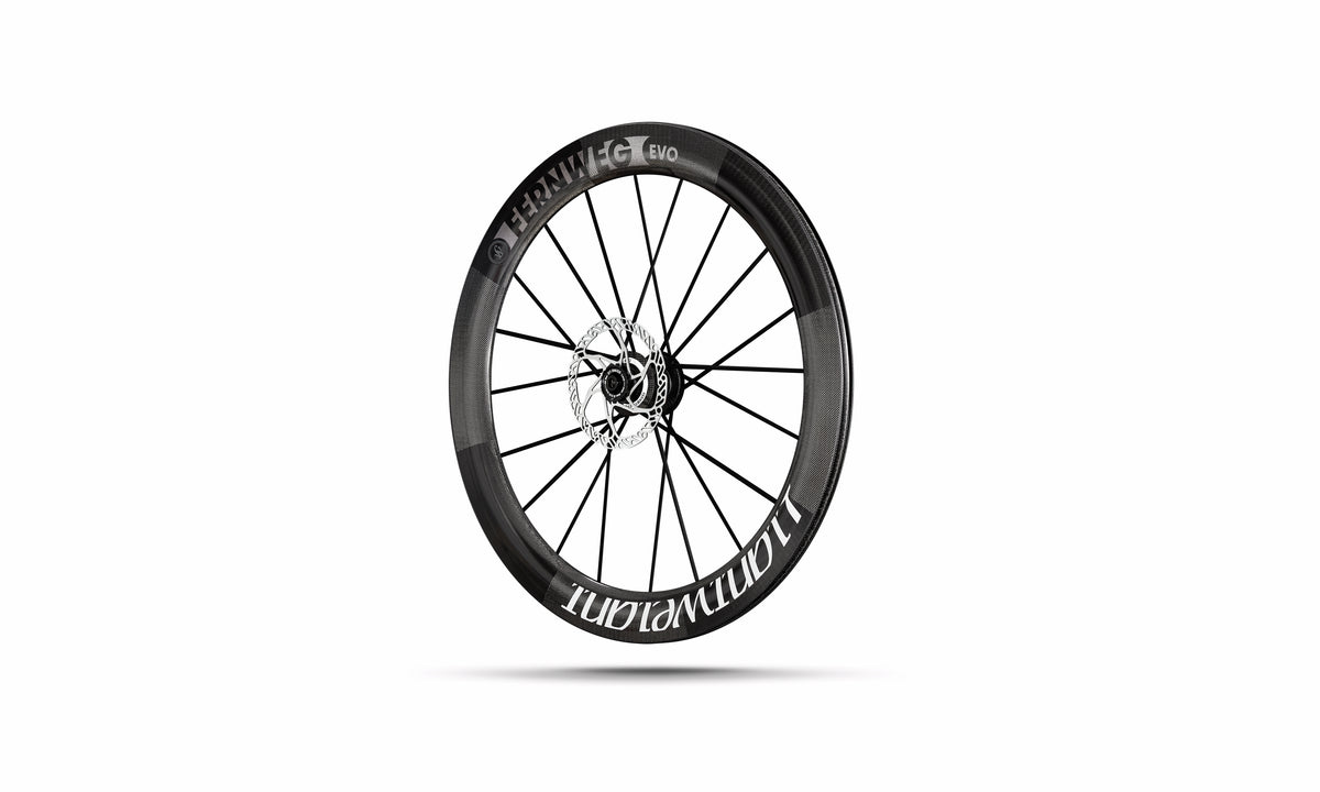 Lightweight fernweg shop disc